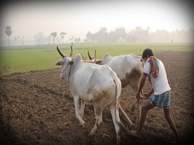 indian-farmer-1-640 (1)_1