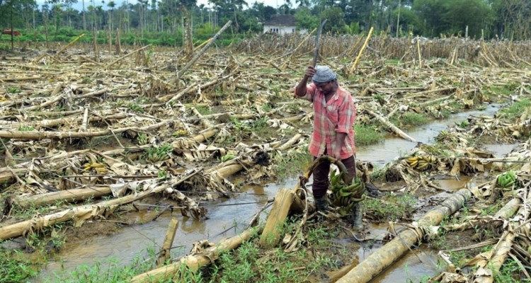 अवकाळी पावसाने शेतकऱ्यांचे प्रचंड नुकसान
